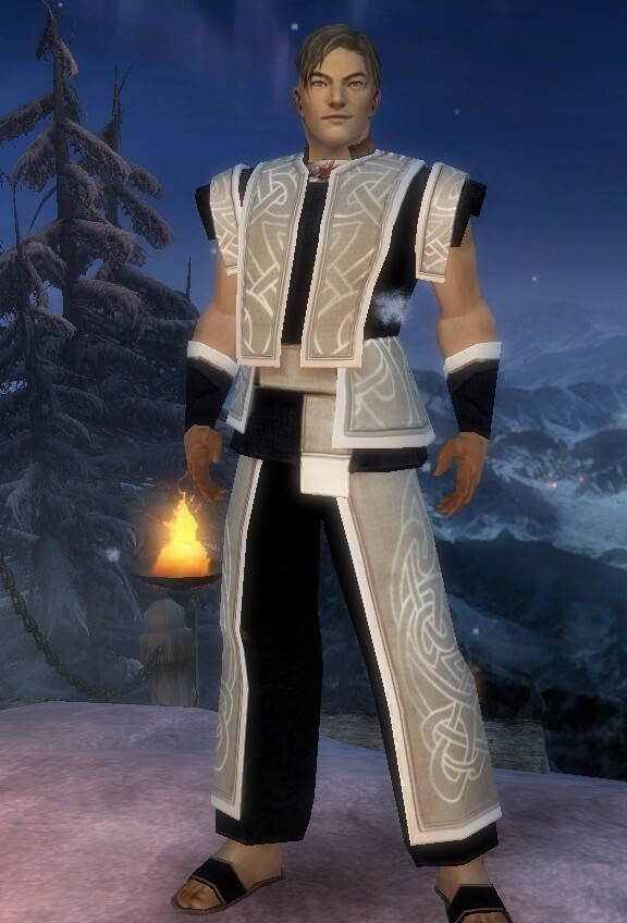Guild Wars Monk