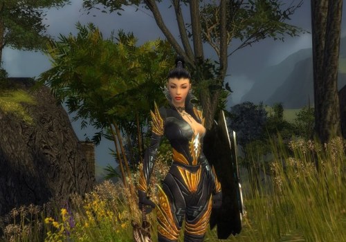 Guide to the Best Builds for Guild Wars 1